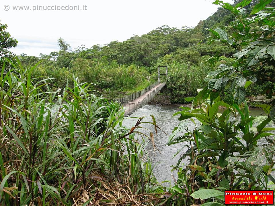 ECUADOR - Amazzonia - 01.jpg